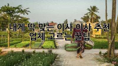 내게 딱 맞는 이사, 이사 추천 업체 고르는 꿀팁 🍯