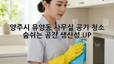양주시 유양동 사무실 공기 청소: 숨쉬는 공간, 생산성 UP!