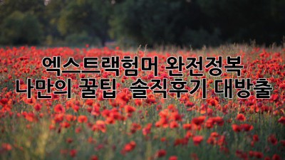 엑스트랙험머 완전정복😎: 나만의 꿀팁 & 솔직후기 대방출!
