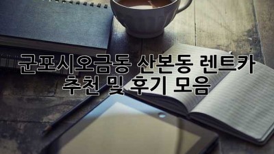 군포시(오금동, 산본동) 렌트카 추천 및 후기 모음
