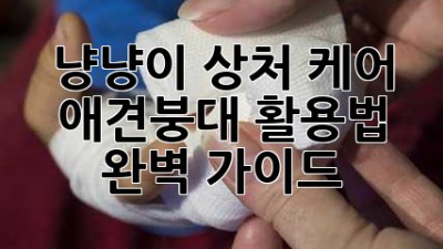 냥냥이 상처 케어: 애견붕대 활용법 완벽 가이드