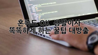 혼족도 OK! 😎 용달이사 똑똑하게 하는 꿀팁 대방출 🚚💨